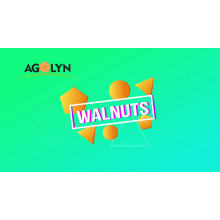 AGOLYN Top selling Variety Snacks Unbroken Walnuts with paper shell